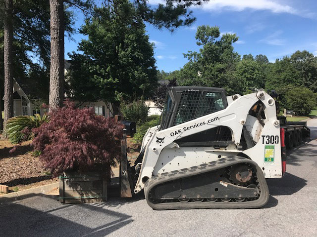 Bobcat track loader T309 positioned for tree removal work in residential driveway with mature landscape.