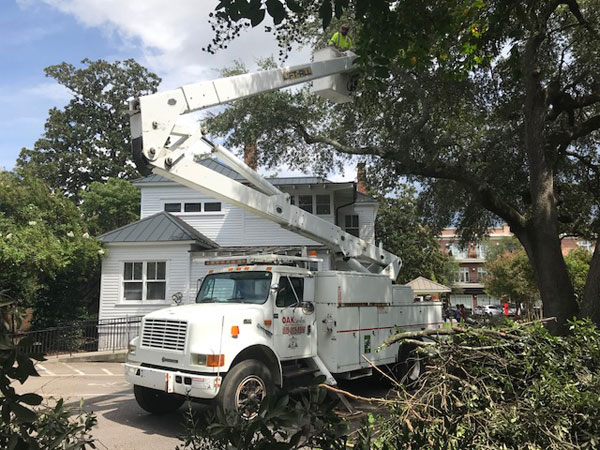 Bucket truck with extended boom performing residential tree trimming on a canopy-level branch removal project.