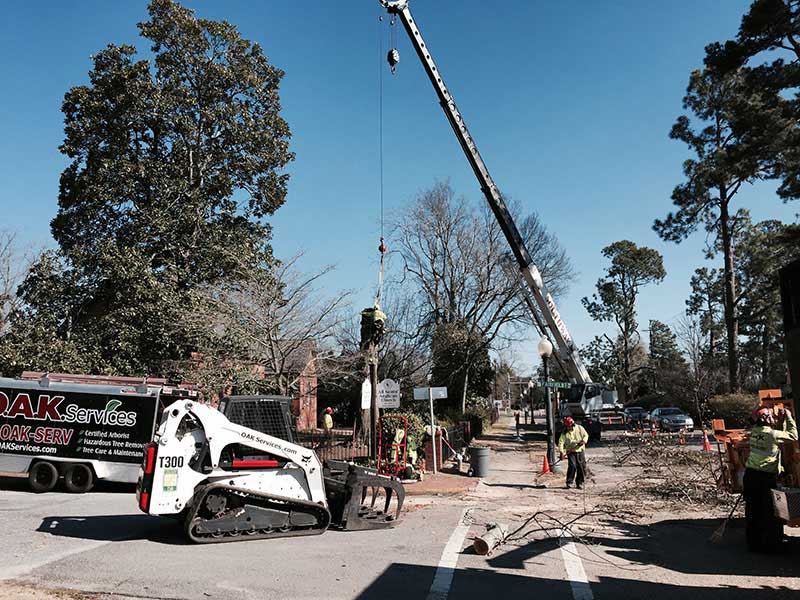 Professional arborists use a Bobcat skid-steer and mobile crane to safely remove large trees and debris from a residential property in Aiken.