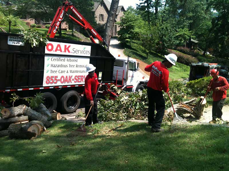 Professional tree crew operating hydraulic chipper to process debris during residential tree removal in Aiken.