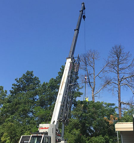 Arborist operating boom lift truck to remove hazardous dead tree in residential neighborhood.