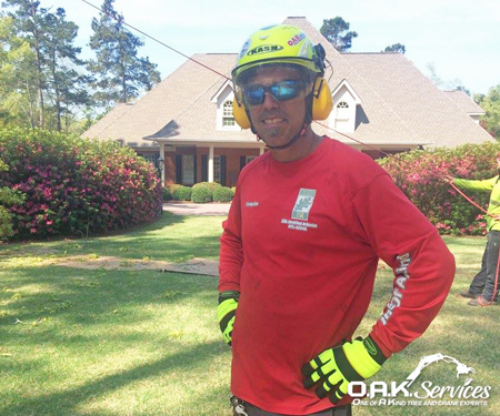 Professional arborist in safety gear stands on well-maintained residential property in Aiken, ready for tree service consultation.
