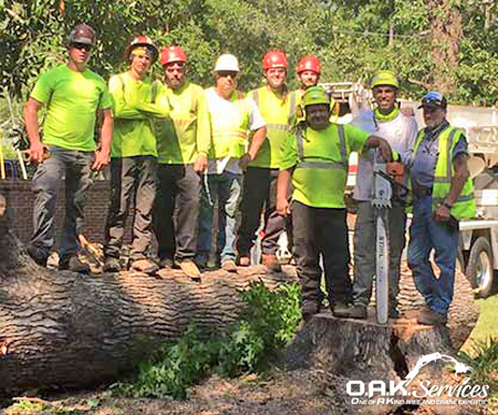 Careers at OAK Services | Aiken, SC
