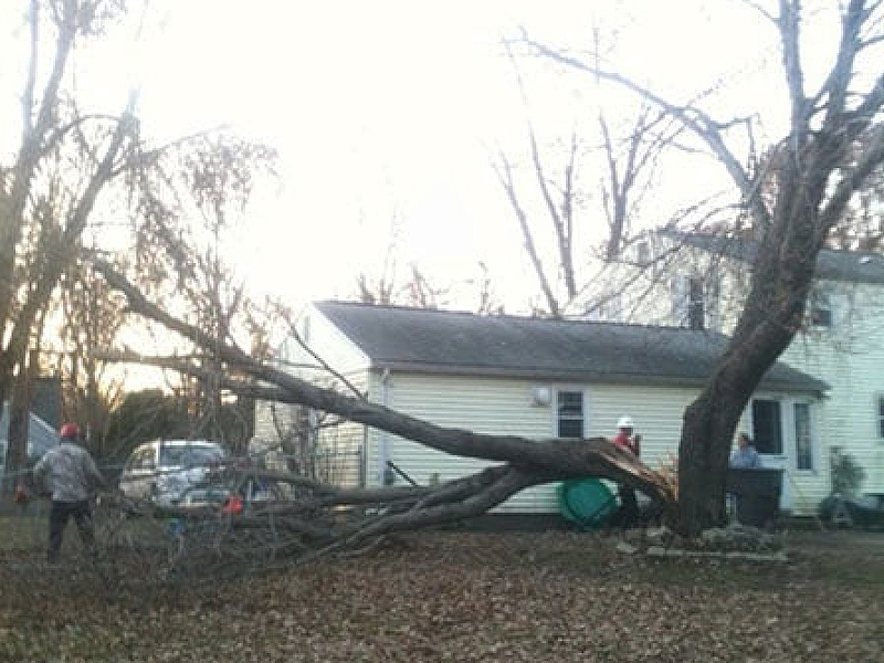 Storm-damaged residential property with large fallen tree across yard requiring professional emergency removal and debris cleanup.