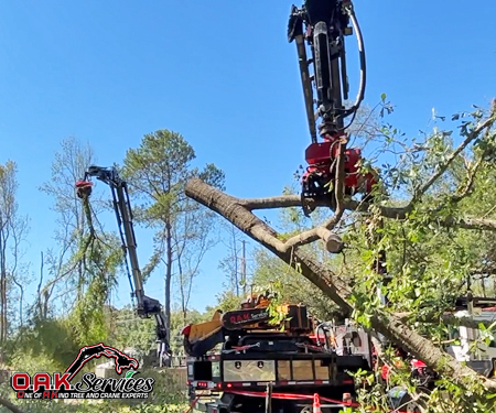 Hydraulic boom truck with grapple securely removing large fallen tree limb during professional debris hauling operation.