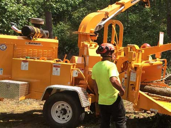 Professional arborist operates industrial wood chipper for debris processing during tree removal service in forested area.