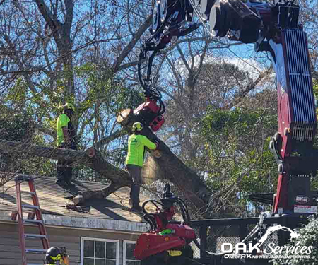24hr emergency tree service Summerville, SC