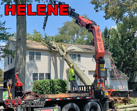 24 hour Hurricane Helene tree damage cleanup services